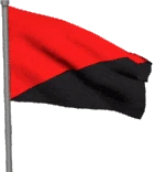 animated_ancom_flag emote