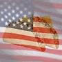 america emote