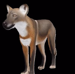 EcosThousCoat emote