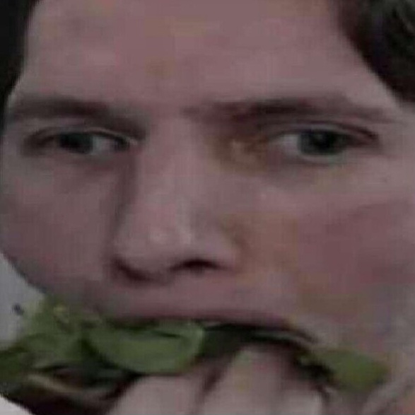 jerma_munch static emote