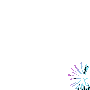 Rainbow_Fireworks emote
