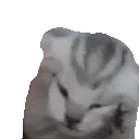 thevoices emote