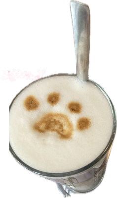 catclatte static emote