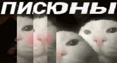 PISUNI emote