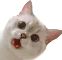 Nana_ayy emote