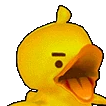 angry_ducky emote