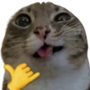 sendy emote