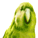 PartyParrot animated emote