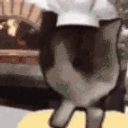 chefcat emote