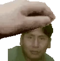 PETTHEPERUANO emote