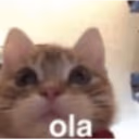 ola emote