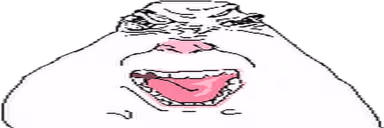 angy emote