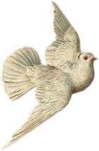 Dove emote
