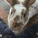 bunnyKISS emoji