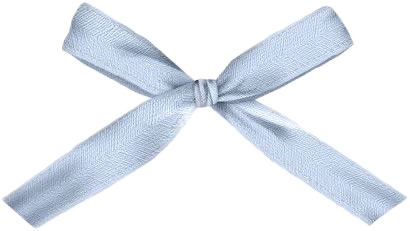 Lightblue_bow emote
