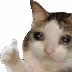sad_cat emote