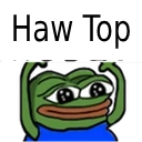 Haw_Top emote