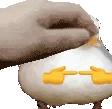 isforpat emote