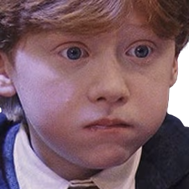 wtf emote