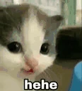 HEHENOTHEHE emoji
