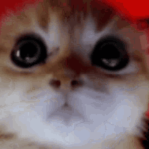 czrnydzordz avatar