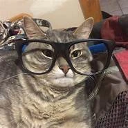 Nerd_Cat emoji
