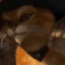 rawr emote