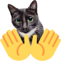 openhandscat emote