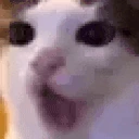 YAPPING emote