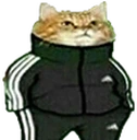 cattaSlava emote