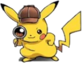 pokecheck emote