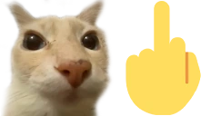 patoma emoji