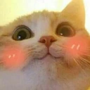 CE_Blush3 emote