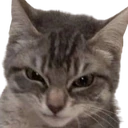Rascal emote