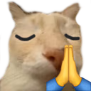 praydose emote