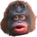 le_monke emote