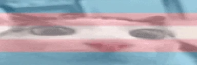 transplink emote