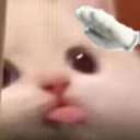 bla7 emote