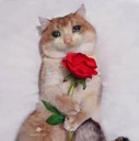 CE_sadcat6 emote