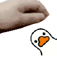 pet_ducky animated emote