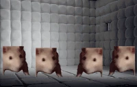 CrazyIWasCrazyOnceTheyPutMeInARoomARubberRoomARubberRoomFilledWi emote