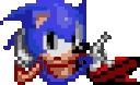 sonicwait emote