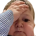 HasbullaOhNo emote