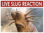 LiveSlugReaction emote