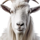 goat emote