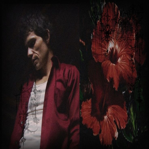 askedaskedasked avatar