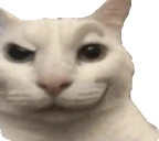 susCat emoji