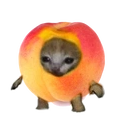 peachcat