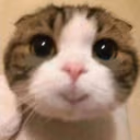 bibihappy emote