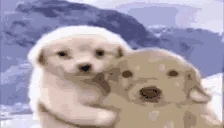 Ebeishiye animated emote